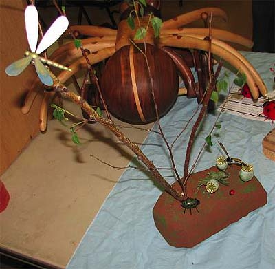 Carey Caires – insects