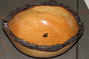 Cal Elshoff – maple_may08