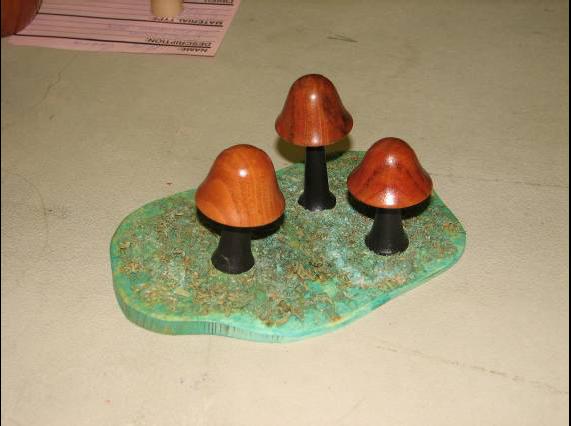 Jim Givens – mushroom_mar08