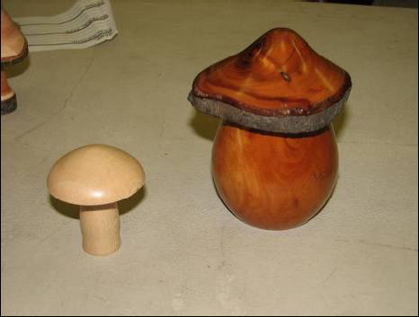 Pete Carta – mushroom_mar08