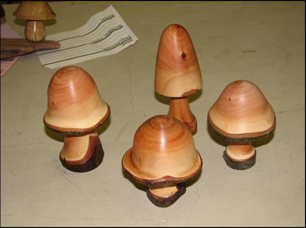 Jerry Davis – mushroom_mar08