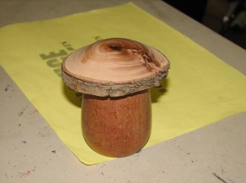 Jack Stumpf – mushroom_mar08