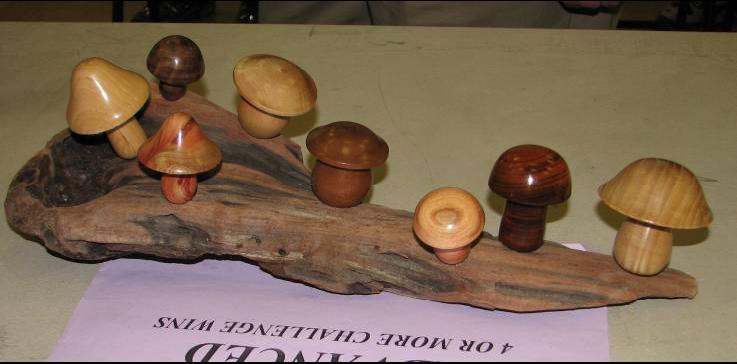Floyd Pedersen – mushroom_mar08