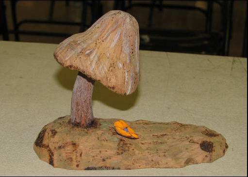 Ralph Camlee – mushroom_mar08