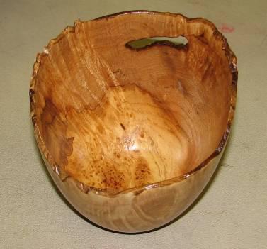Cal Elshoff – naturaledgebowl_dec07
